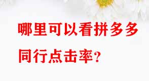 哪里可以看拼多多同行點(diǎn)擊率